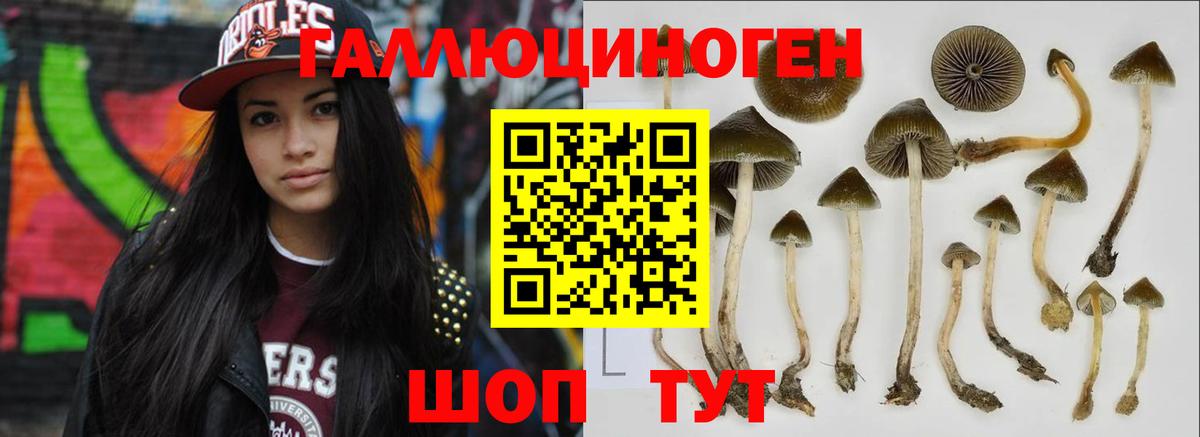 Псилоцибиновые грибы мухоморы Рассказово