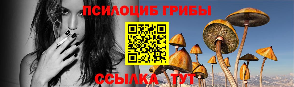 Галлюциногенные грибы Magic Shrooms  Вход с VPN  Псилоцибиновые грибы Psilocybe  Рассказово 